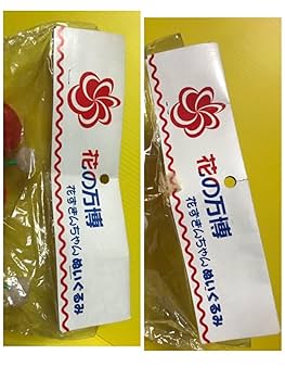 EXPO90 花の万博 花ずきんちゃん ぬいぐるみ 未使用品 61MakBzRw-L._UF350,350_QL50_.jpg